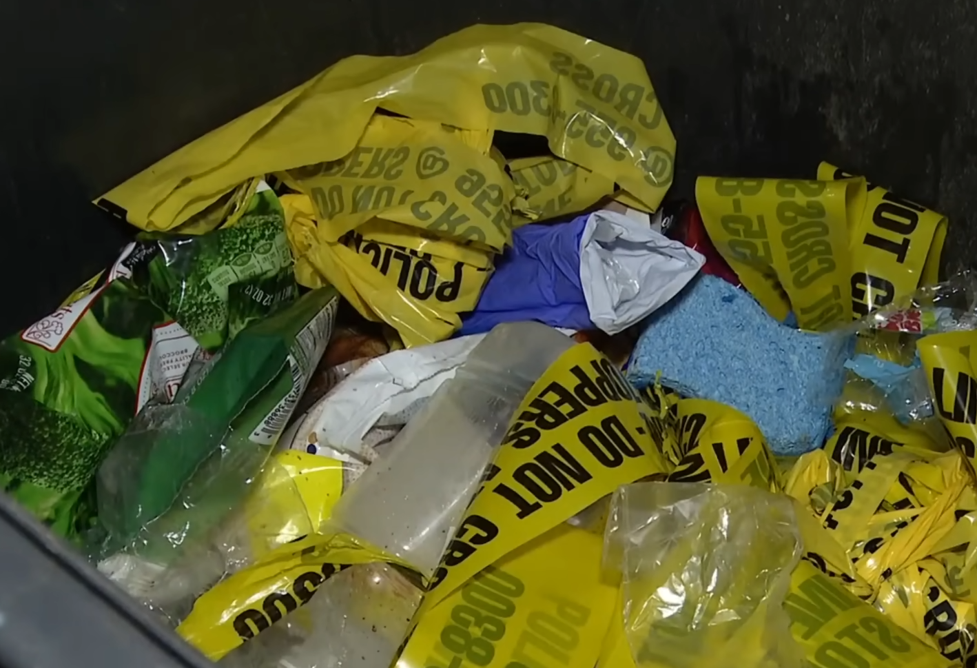 newborn-baby-girl-found-in-the-trash-absolute-news