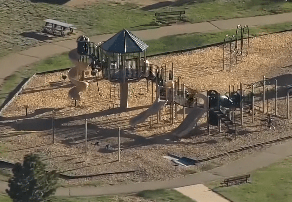 Four-year-old boy gets attacked by an elk at playground - Absolute News