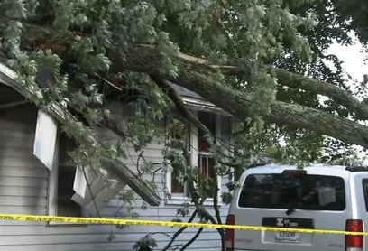 Woman killed by tree that fell on her home during storm - Absolute News