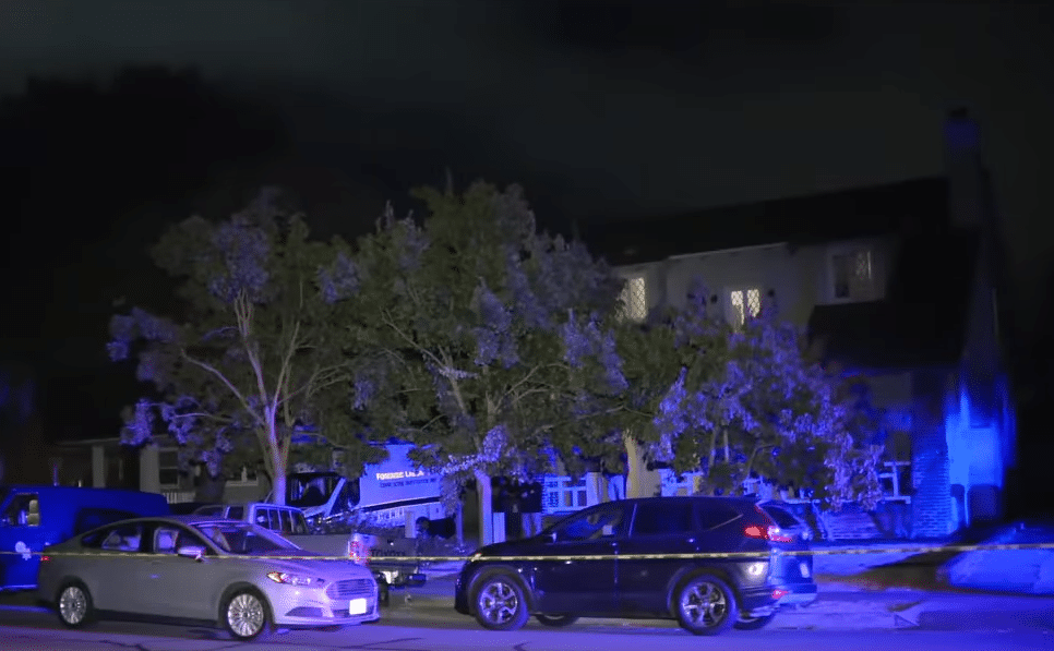 Pregnant woman brutally murdered by her boyfriend at their home ...